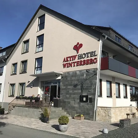 Aktiv Hotel Winterberg-3